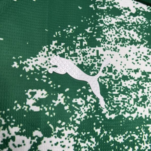 Palmeiras 2024/25 Special Edition White And Green Jersey - Image 5
